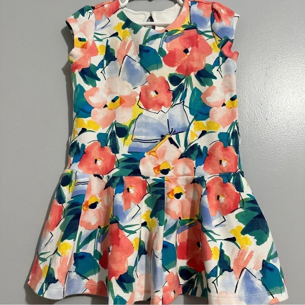 Gymboree Wildflower Weekend Watercolor Blooms Dress Girls Size 6
